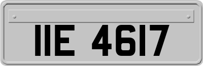 IIE4617