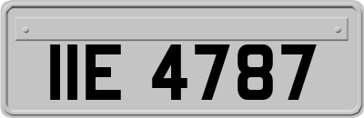 IIE4787