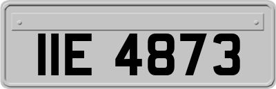 IIE4873
