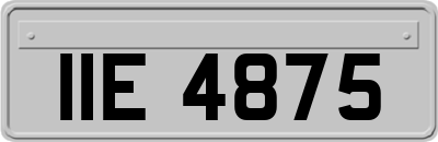 IIE4875