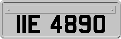 IIE4890