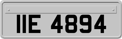 IIE4894