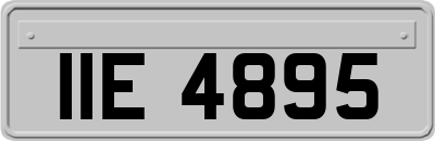IIE4895