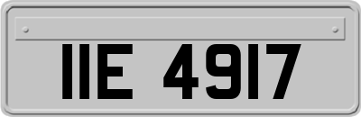 IIE4917
