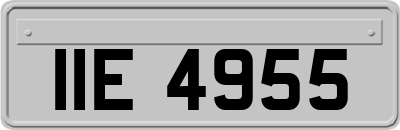 IIE4955