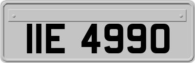 IIE4990