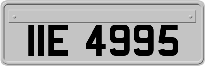 IIE4995