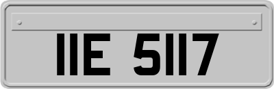 IIE5117
