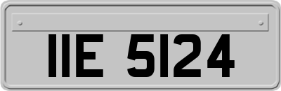 IIE5124