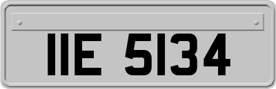 IIE5134