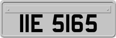 IIE5165