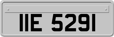 IIE5291