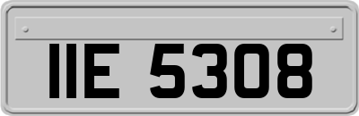 IIE5308