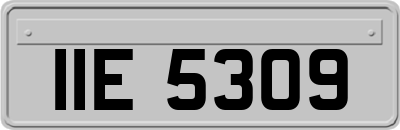 IIE5309