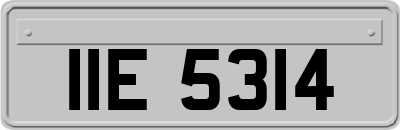 IIE5314