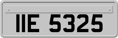 IIE5325