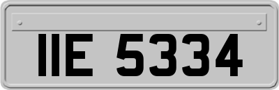 IIE5334
