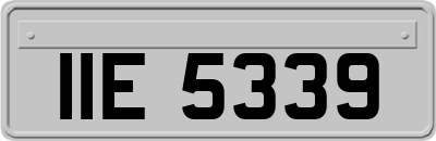IIE5339