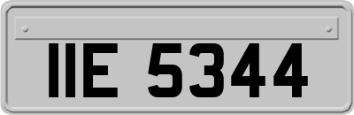 IIE5344