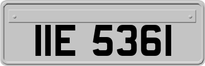 IIE5361