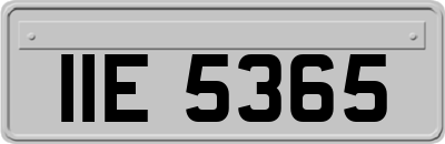IIE5365