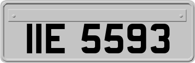 IIE5593