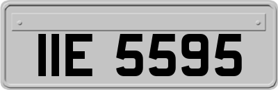 IIE5595