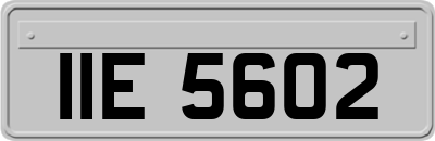 IIE5602