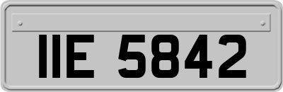 IIE5842