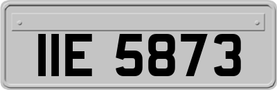 IIE5873