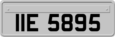 IIE5895