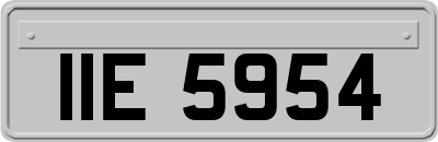 IIE5954