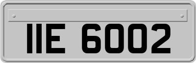 IIE6002