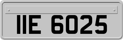 IIE6025