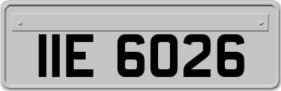 IIE6026