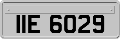 IIE6029