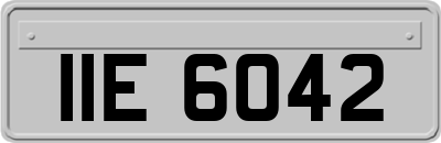 IIE6042