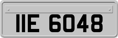 IIE6048