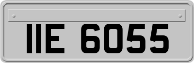 IIE6055