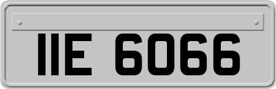 IIE6066