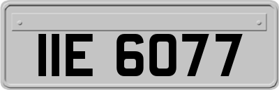 IIE6077