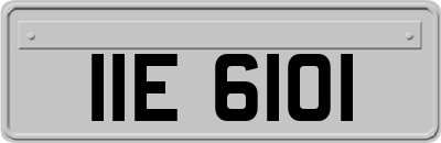 IIE6101