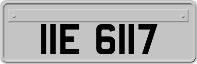 IIE6117