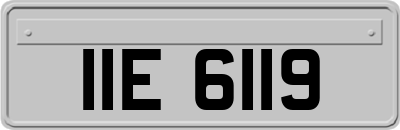 IIE6119
