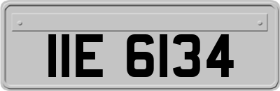 IIE6134