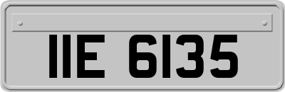 IIE6135