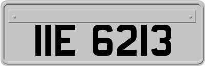 IIE6213