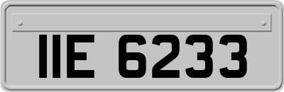 IIE6233