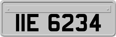 IIE6234