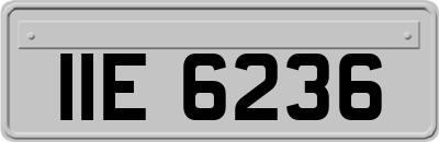 IIE6236
